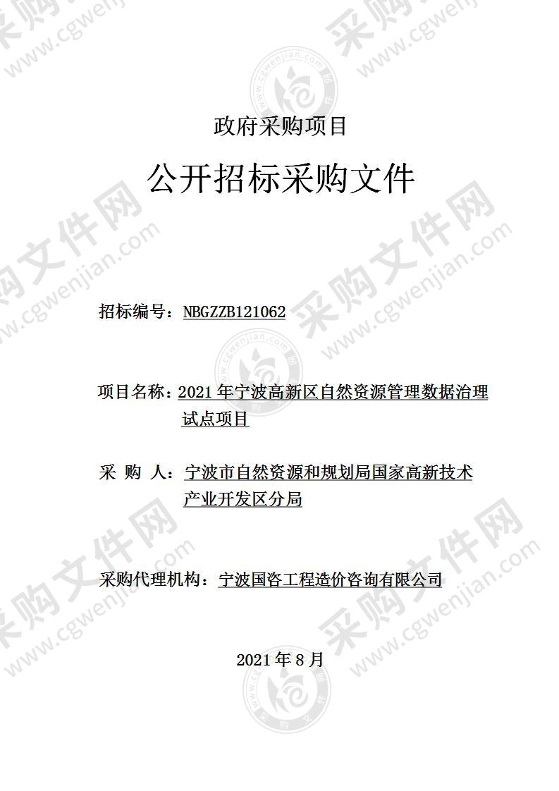 2021年宁波高新区自然资源管理数据治理试点项目