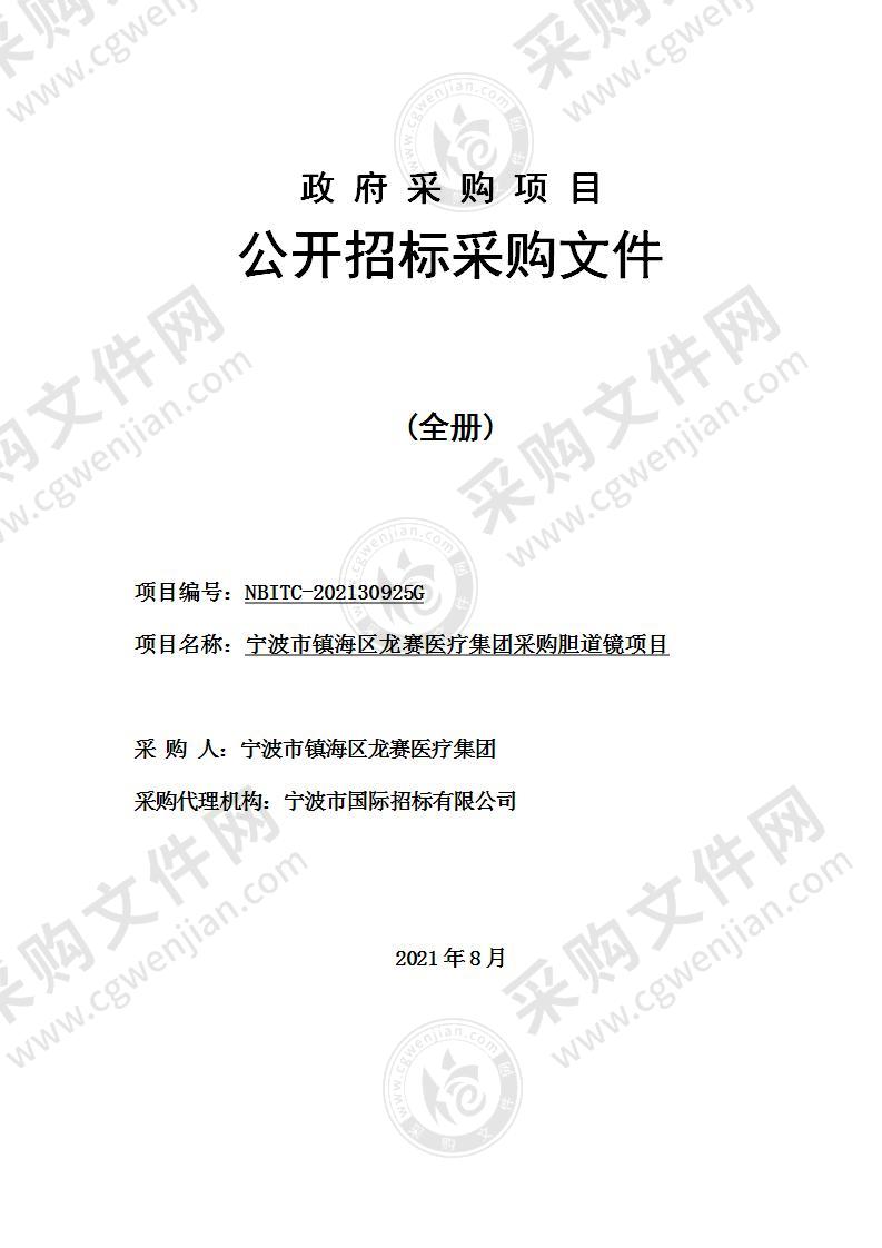 宁波市镇海区龙赛医疗集团采购胆道镜项目