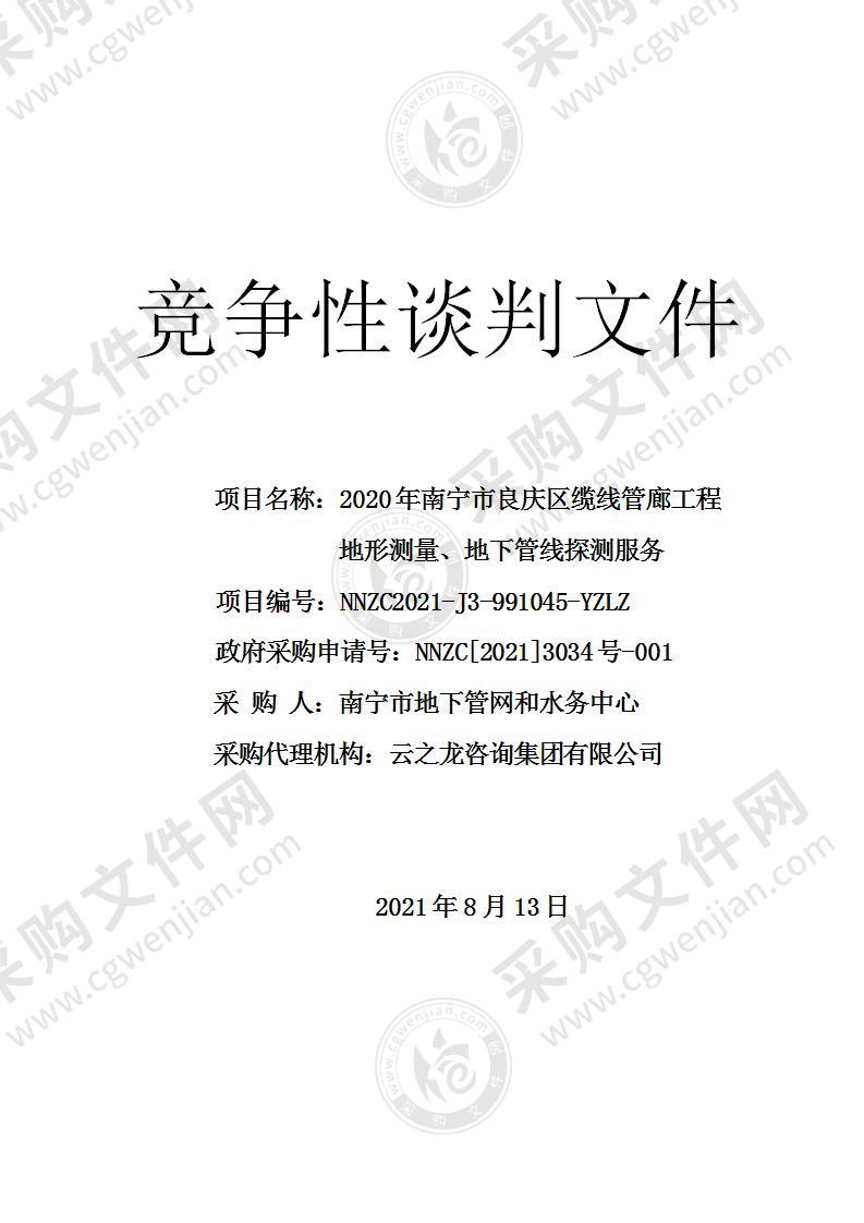 2020年南宁市良庆区缆线管廊工程地形测量、地下管线探测服务