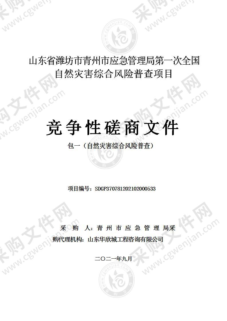 山东省潍坊市青州市应急管理局第一次全国自然灾害综合风险普查项目（包一：自然灾害综合风险普查）