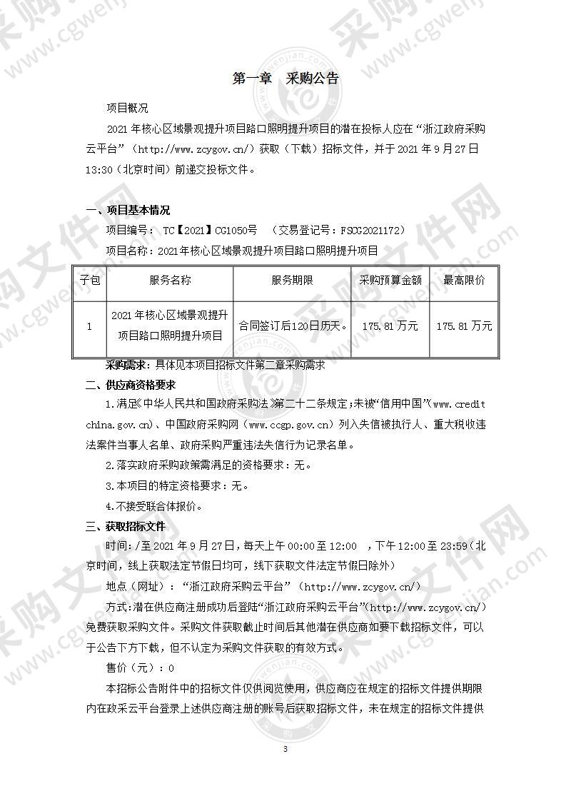 2021年核心区域景观提升项目路口照明提升项目