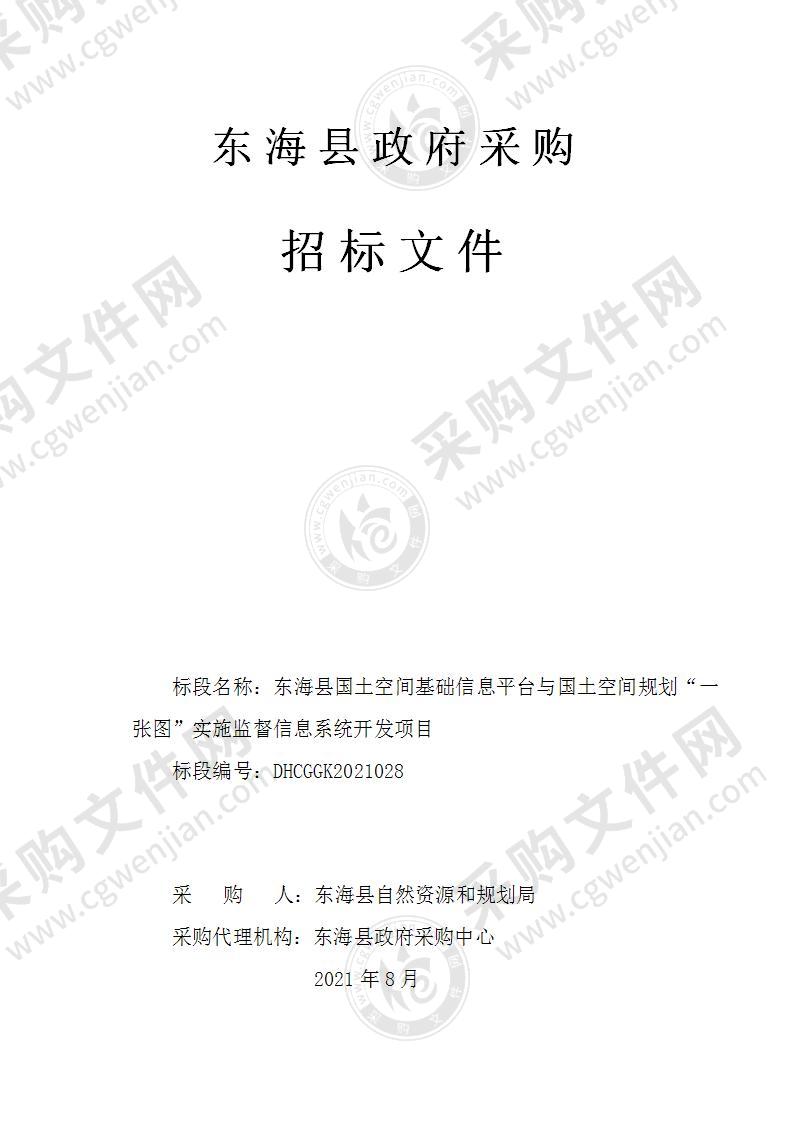 东海县国土空间基础信息平台与国土空间规划“一张图”实施监督信息系统开发项目