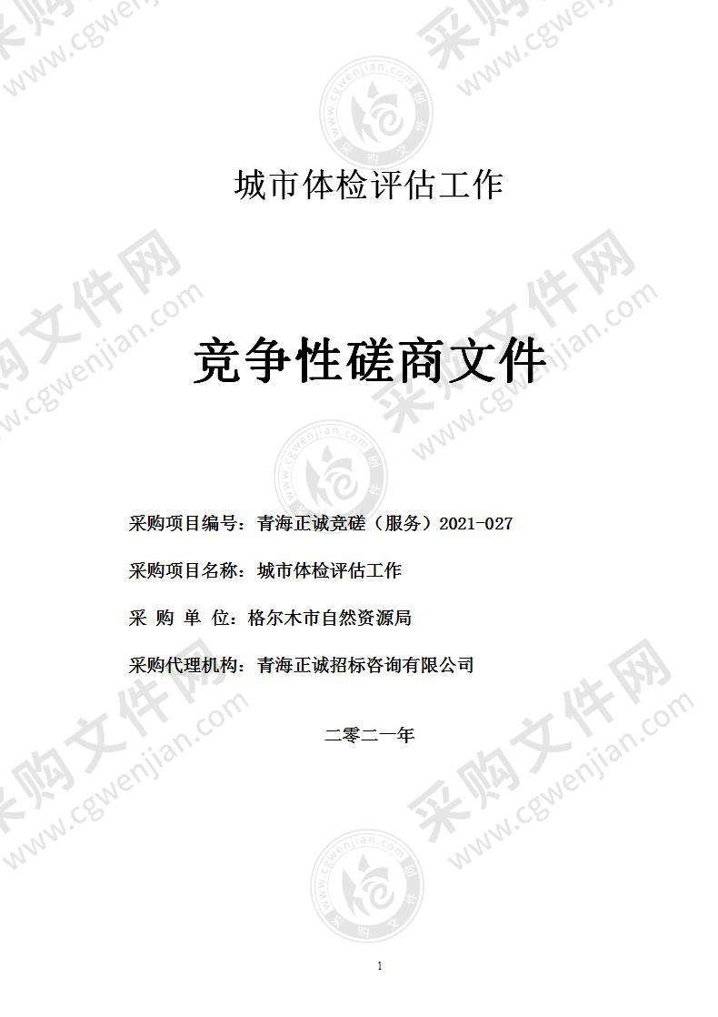 格尔木市自然资源局城市体检评估工作项目