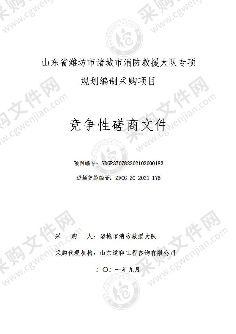 山东省潍坊市诸城市消防救援大队专项规划编制采购项目