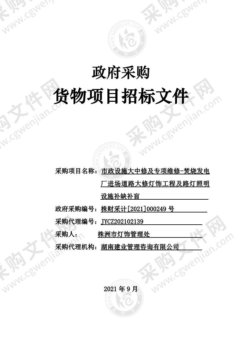 市政设施大中修及专项维修-焚烧发电厂进场道路大修灯饰工程及路灯照明设施补缺补盲