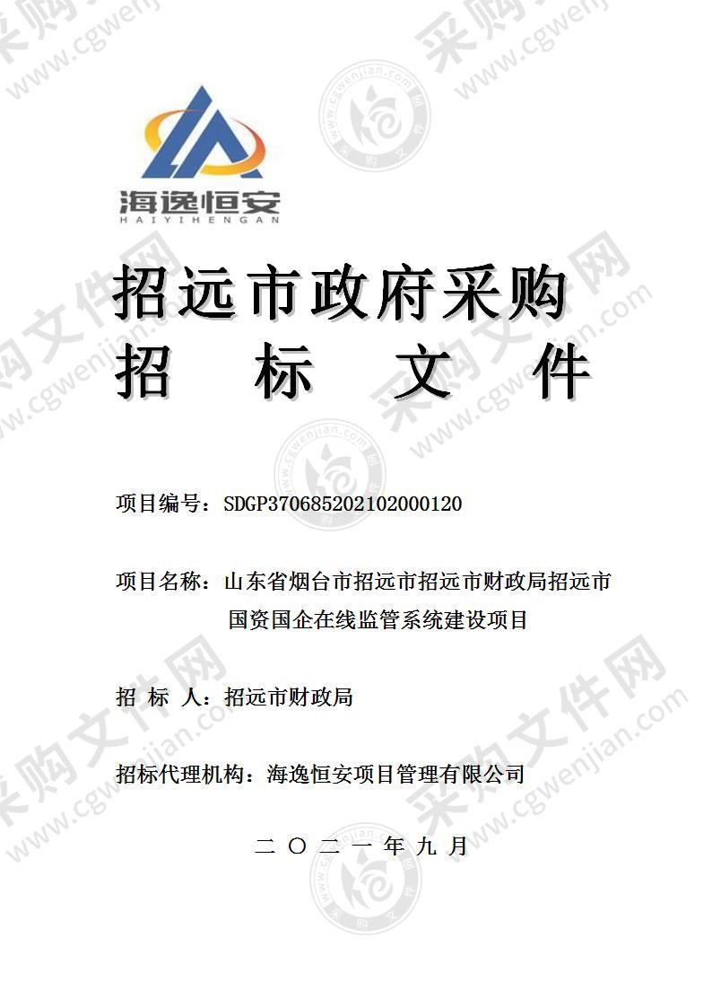 山东省烟台市招远市招远市财政局招远市国资国企在线监管系统建设项目