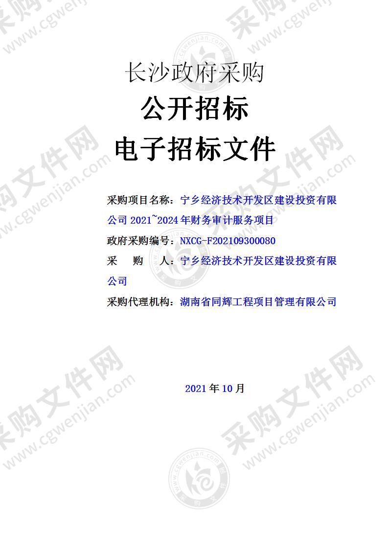 宁乡经济技术开发区建设投资有限公司2021~2024年财务审计服务项目