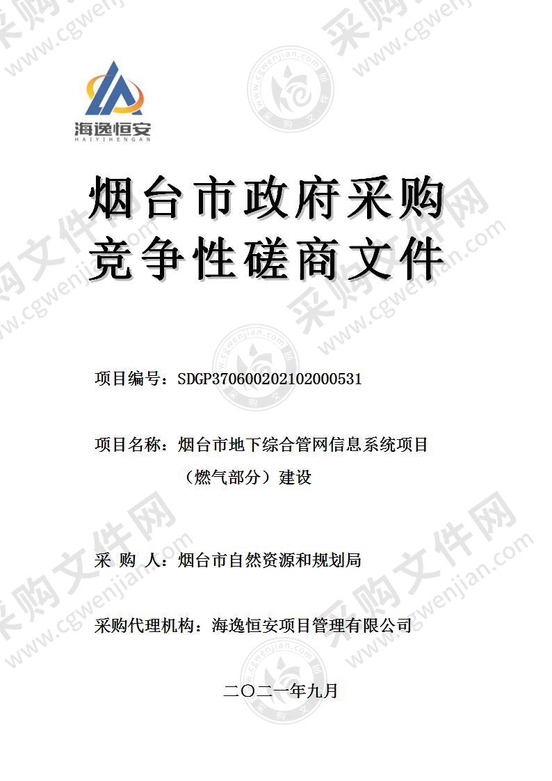 烟台市自然资源和规划局烟台市地下综合管网信息系统项目（燃气部分）建设