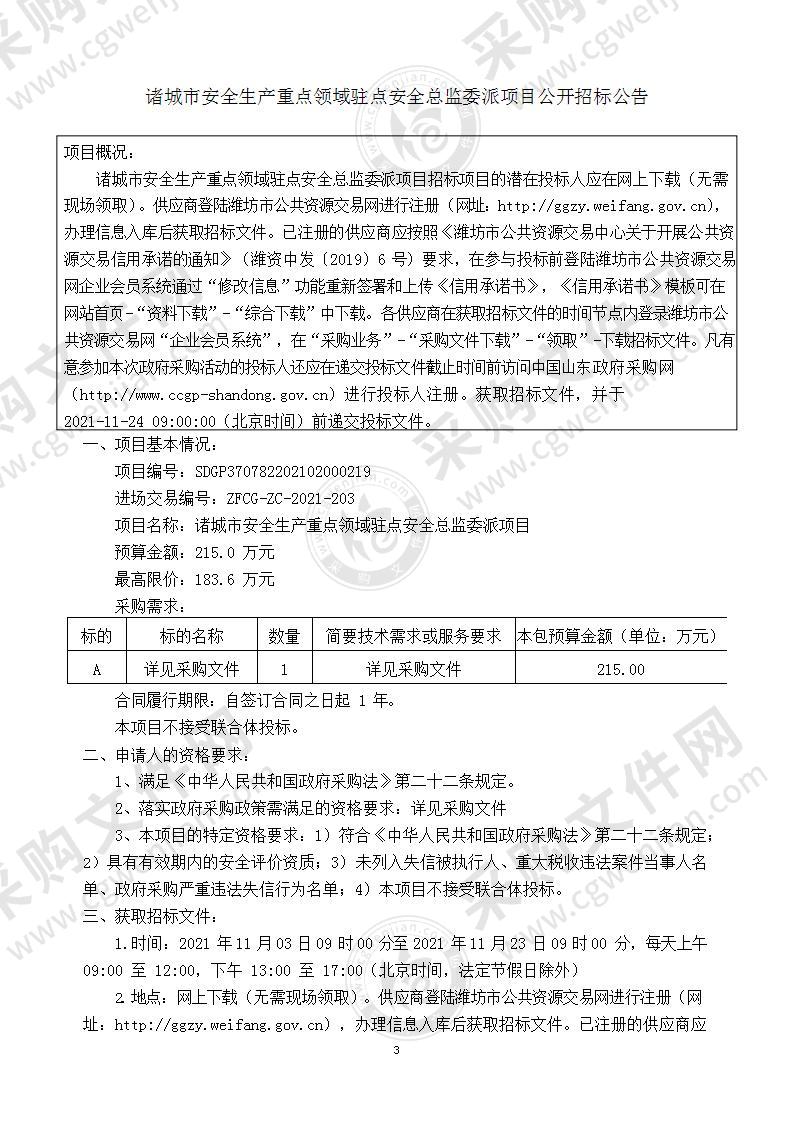 诸城市安全生产重点领域驻点安全总监委派项目