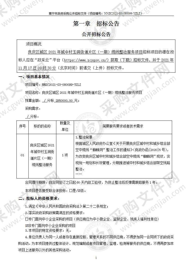 良庆区城区2021年城中村玉洞街道片区（一期）缆线整治服务项目