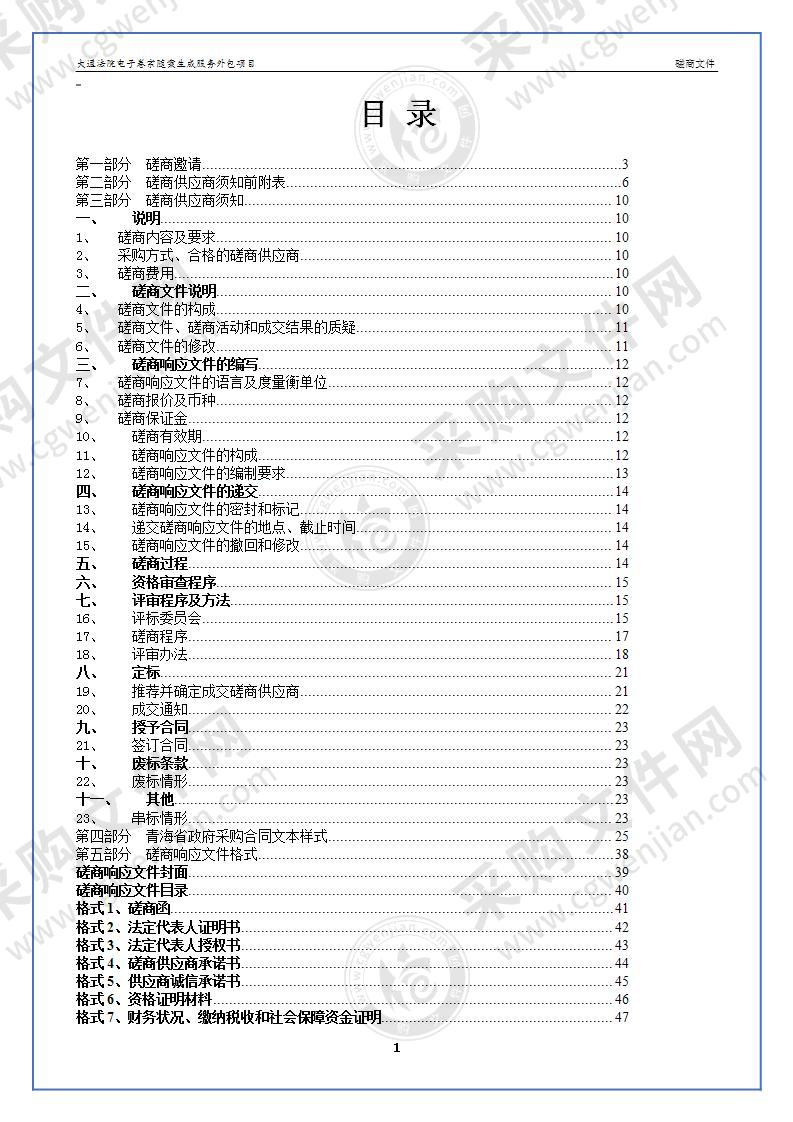 大通法院电子卷宗随案生成服务外包项目