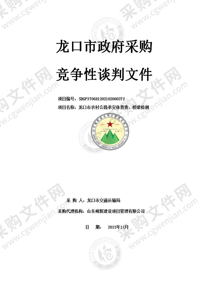 龙口市农村公路承灾体普查、桥梁检测项目