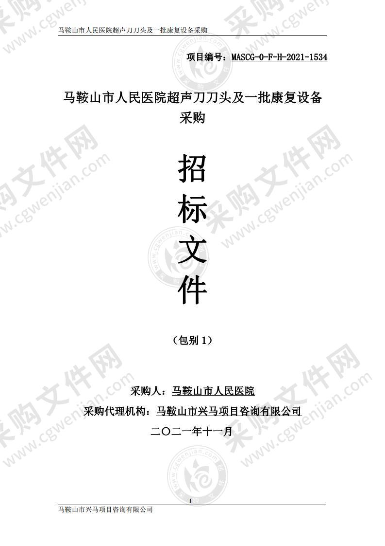 马鞍山市人民医院超声刀刀头及一批康复设备采购（包别1）