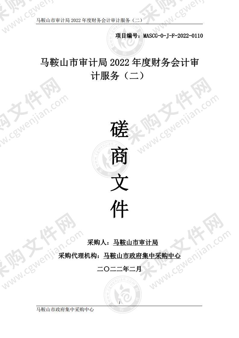 马鞍山市审计局2022年度财务会计审计服务（二）