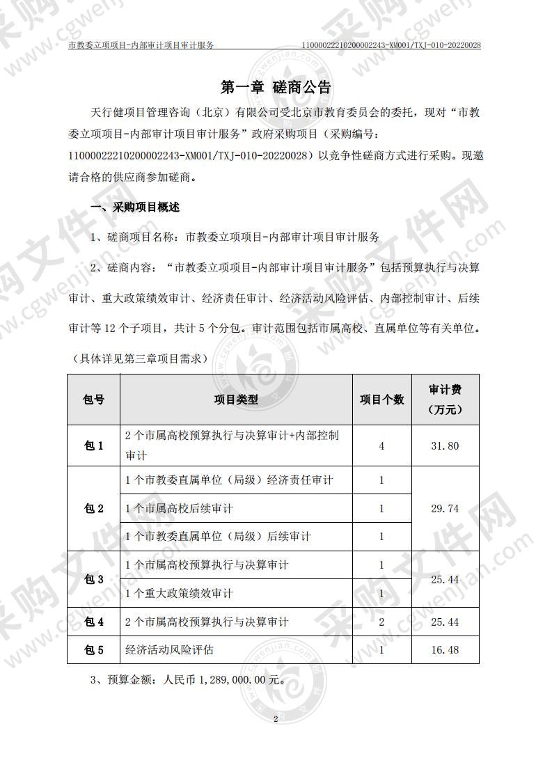 市教委立项项目-内部审计项目审计服务