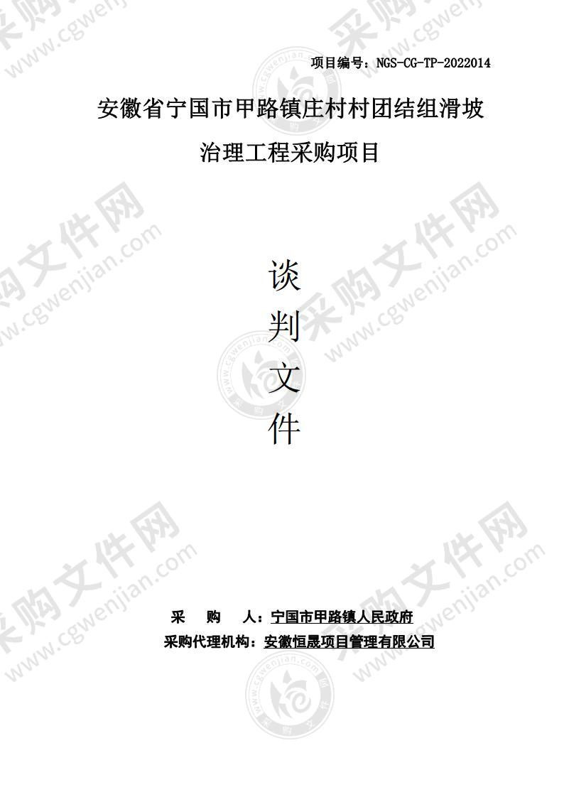 安徽省宁国市甲路镇庄村村团结组滑坡治理工程采购项目