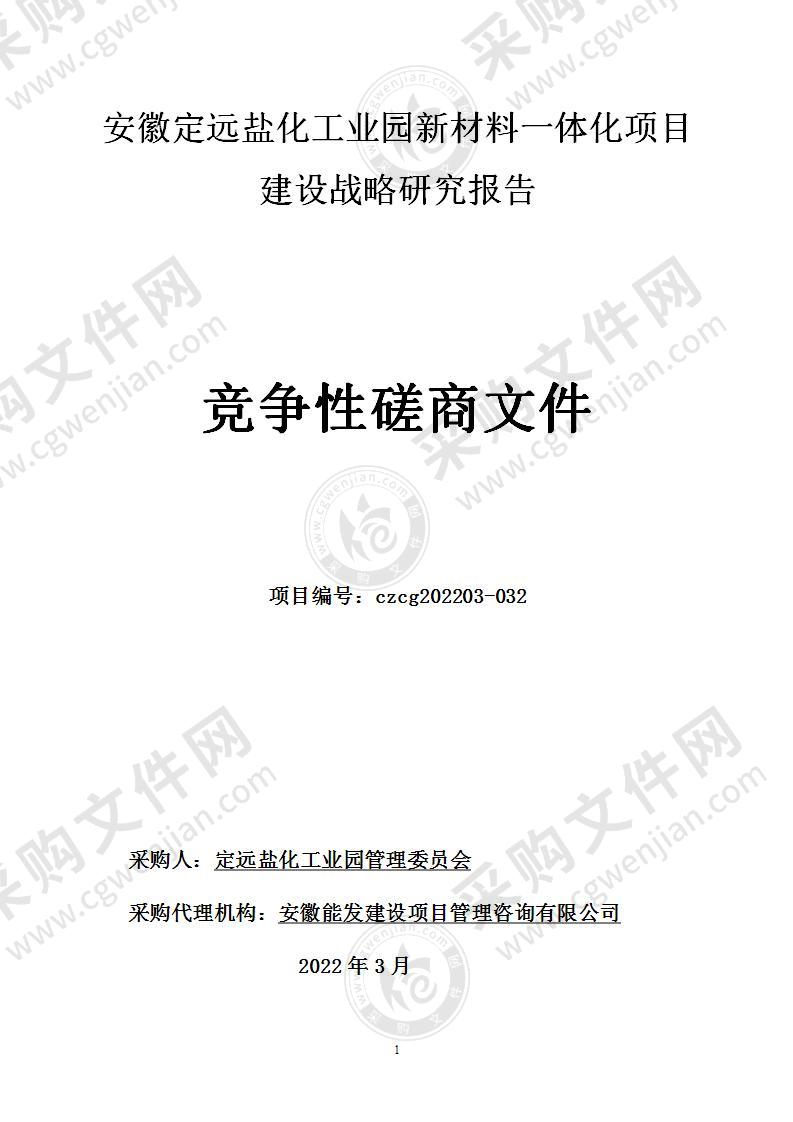 安徽定远盐化工业园新材料一体化项目建设战略研究报告