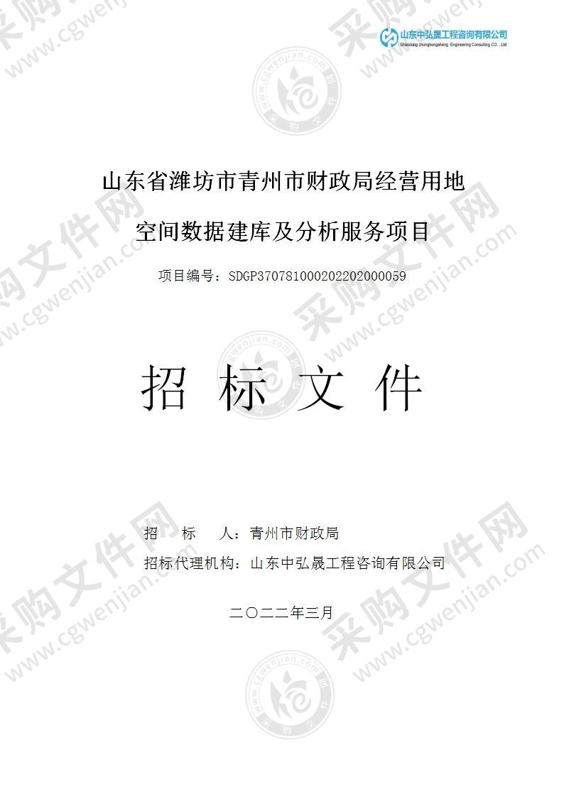 山东省潍坊市青州市财政局经营用地空间数据建库及分析服务项目