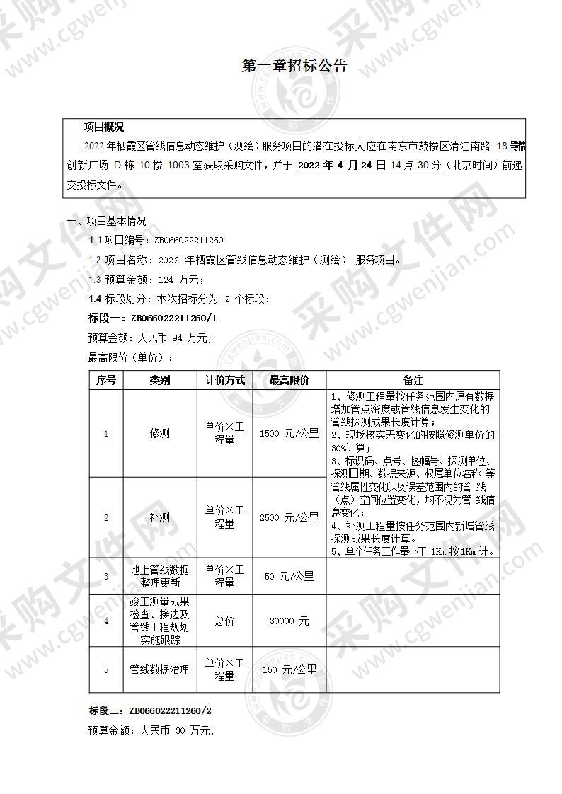 2022年栖霞区管线信息动态维护（测绘）服务项目