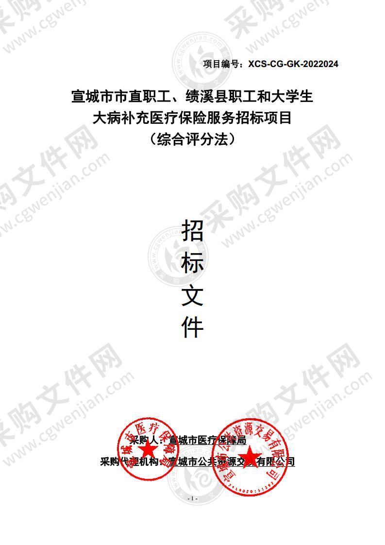 宣城市市直职工、绩溪县职工和大学生大病补充医疗保险服务招标项目