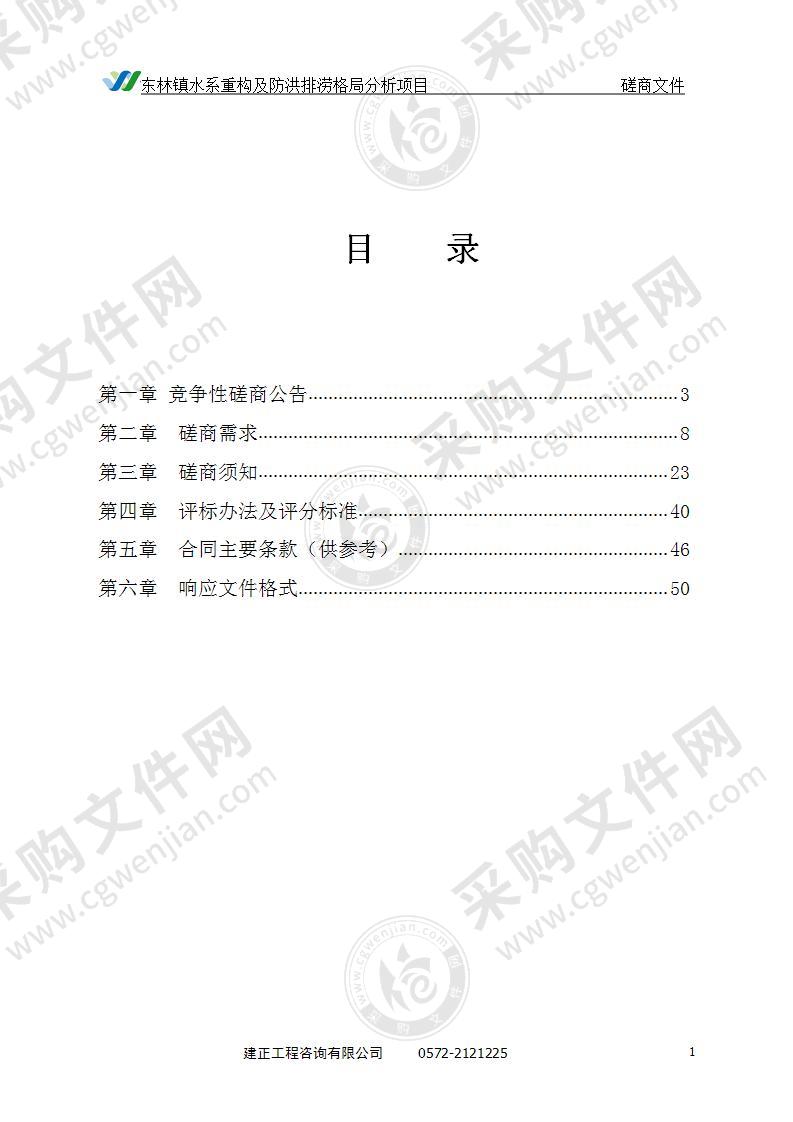 东林镇水系重构及防洪排涝格局分析项目