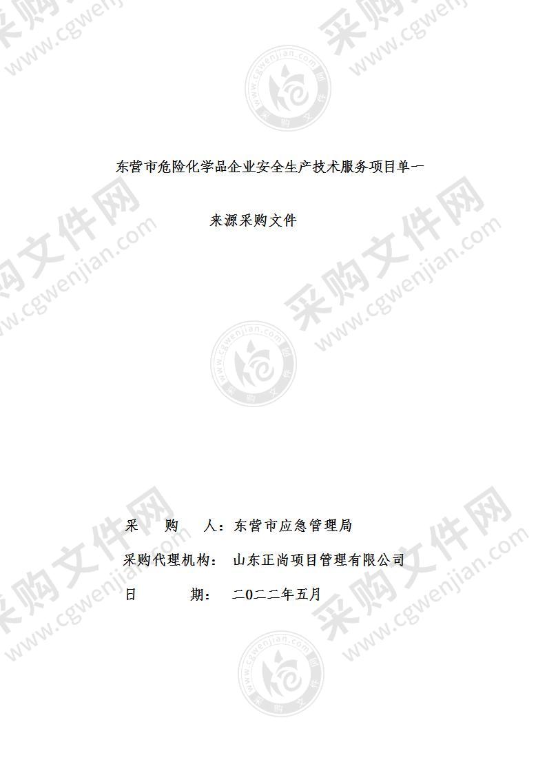 东营市危险化学品企业安全生产技术服务项目