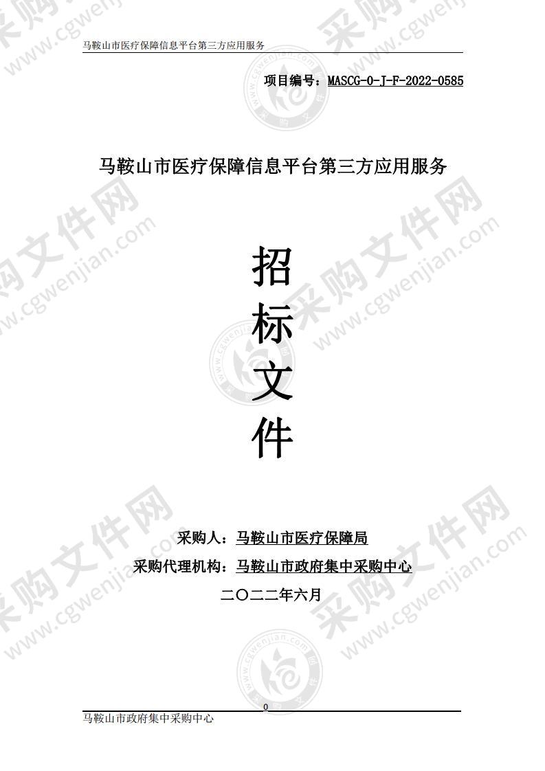 马鞍山市医疗保障信息平台第三方应用服务