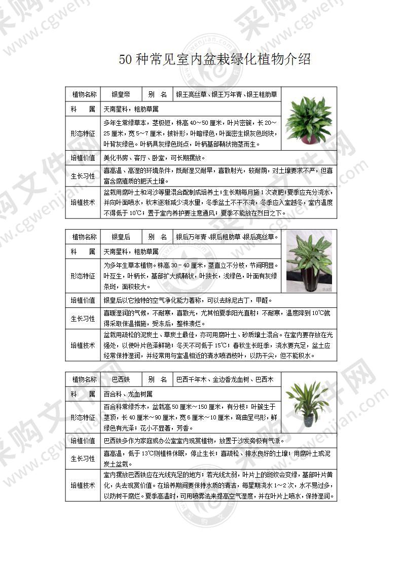 50种常见室内盆栽绿化植物介绍