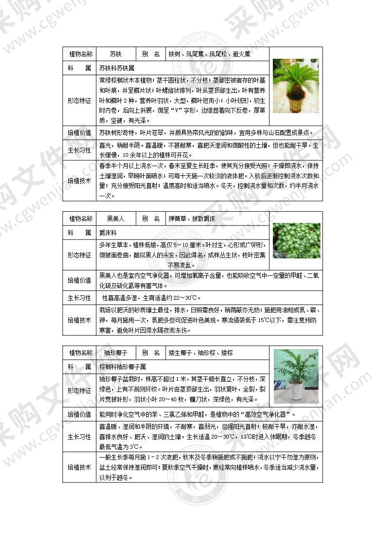 50种常见室内盆栽绿化植物介绍