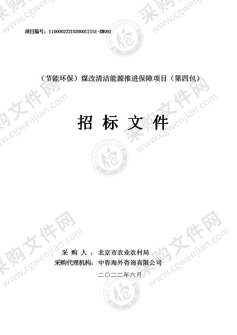 （节能环保）煤改清洁能源推进保障项目其他专业技术服务采购项目（第四包）