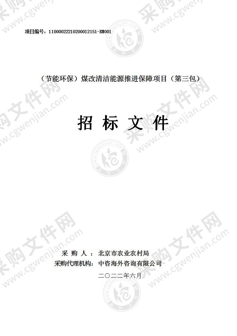 （节能环保）煤改清洁能源推进保障项目其他专业技术服务采购项目（第三包）