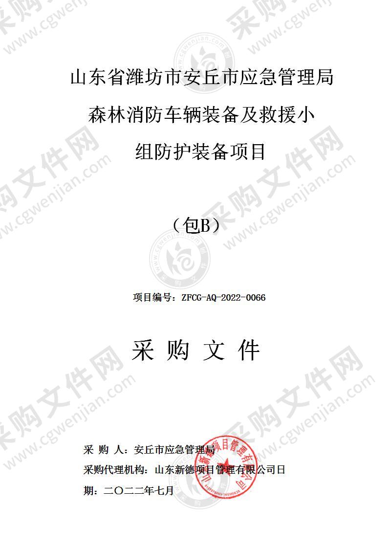 山东省潍坊市安丘市应急管理局森林消防车辆装备及救援小组防护装备项目（包B）