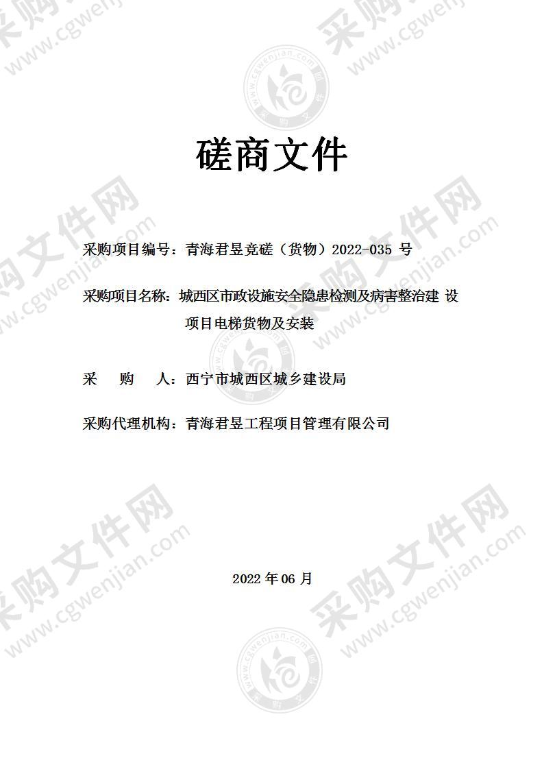 城西区市政设施安全隐患检测及病害整治建设项目电梯货物及安装