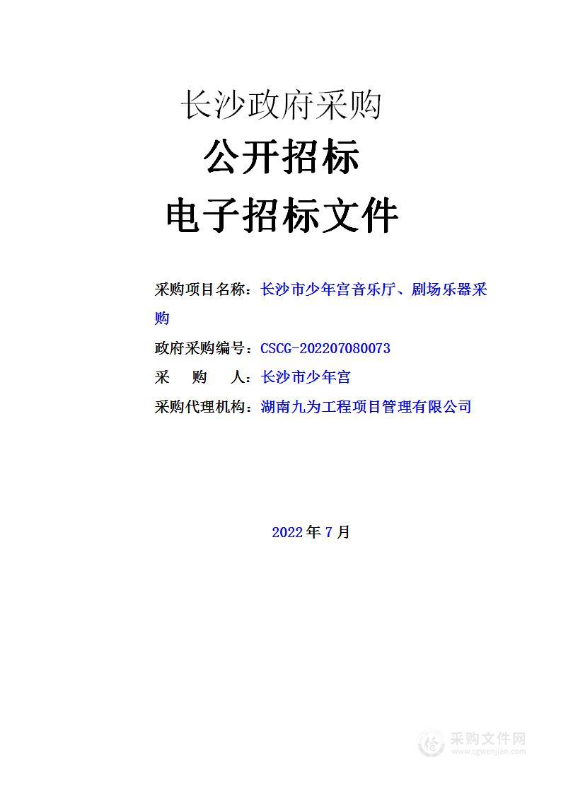 长沙市少年宫音乐厅、剧场乐器采购