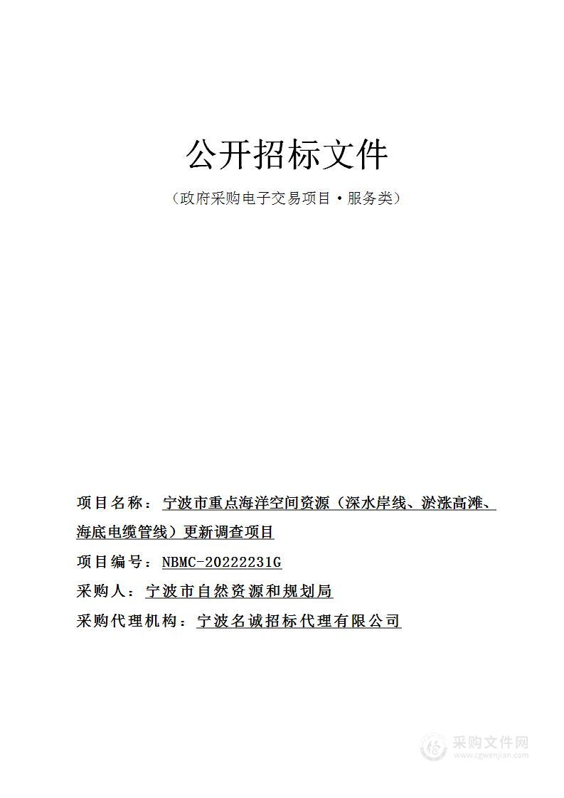 宁波市重点海洋空间资源（深水岸线、淤涨高滩、海底电缆管线）更新调查项目