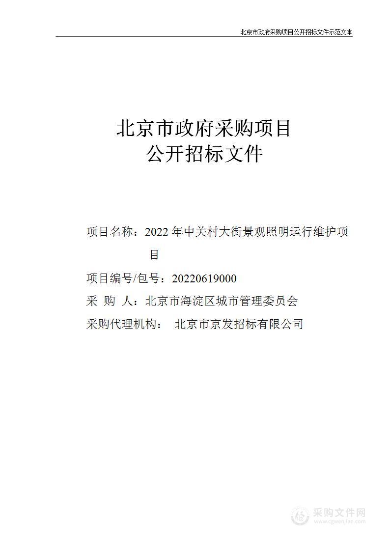 2022年中关村大街景观照明运行维护项目