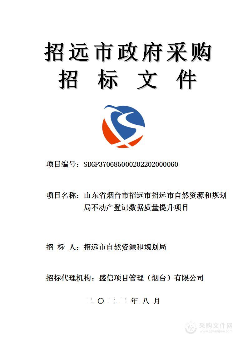 山东省烟台市招远市自然资源和规划局不动产登记数据质量提升项目