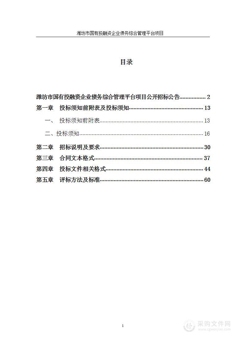 潍坊市国有投融资企业债务综合管理平台项目