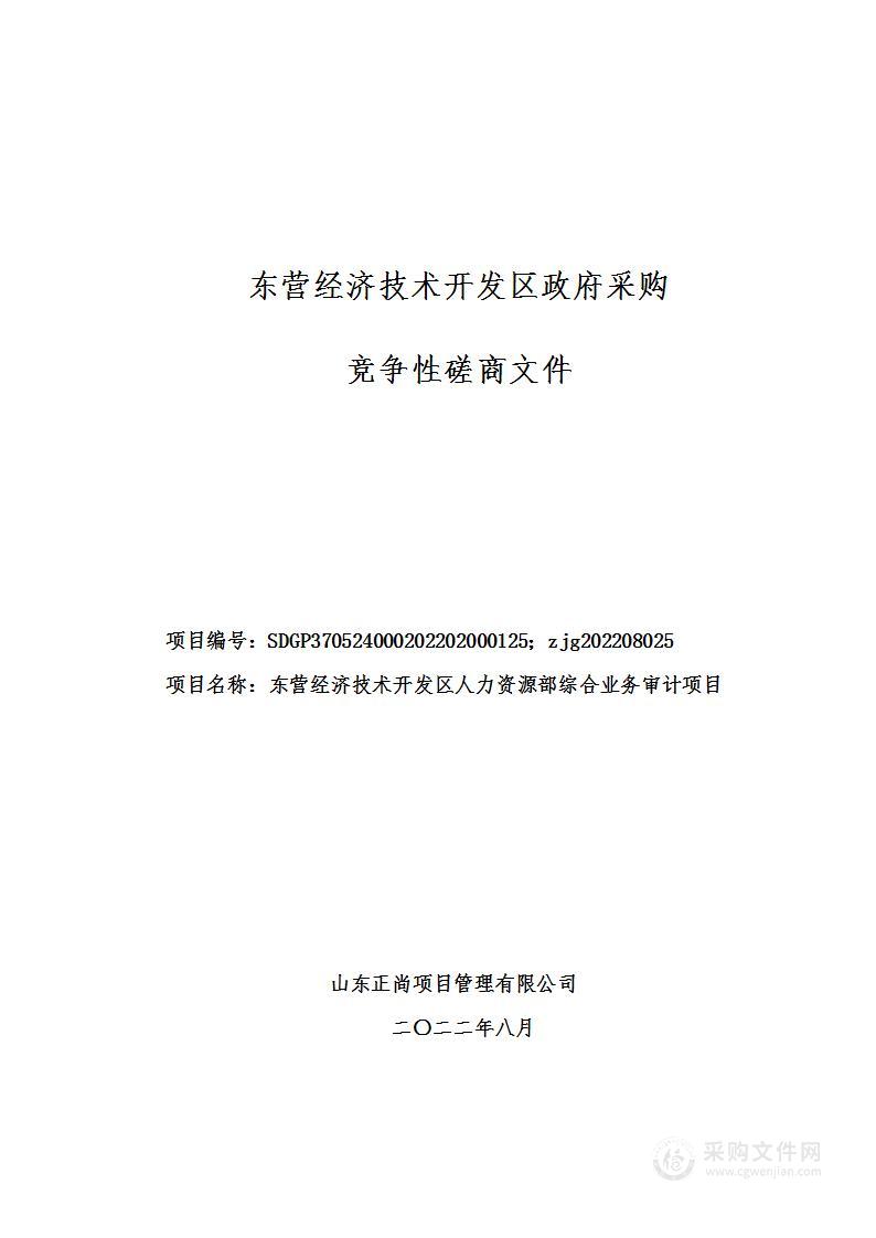 东营经济技术开发区人力资源部综合业务审计项目