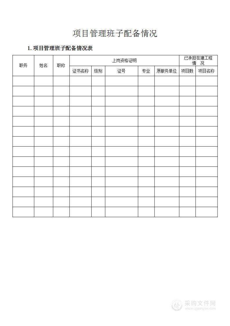 项目管理班子配备情况