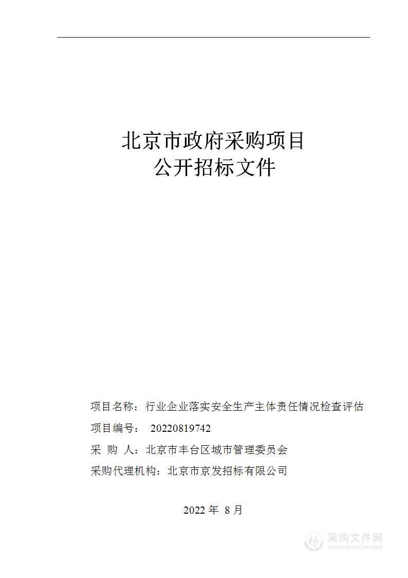 行业企业落实安全生产主体责任情况检查评估