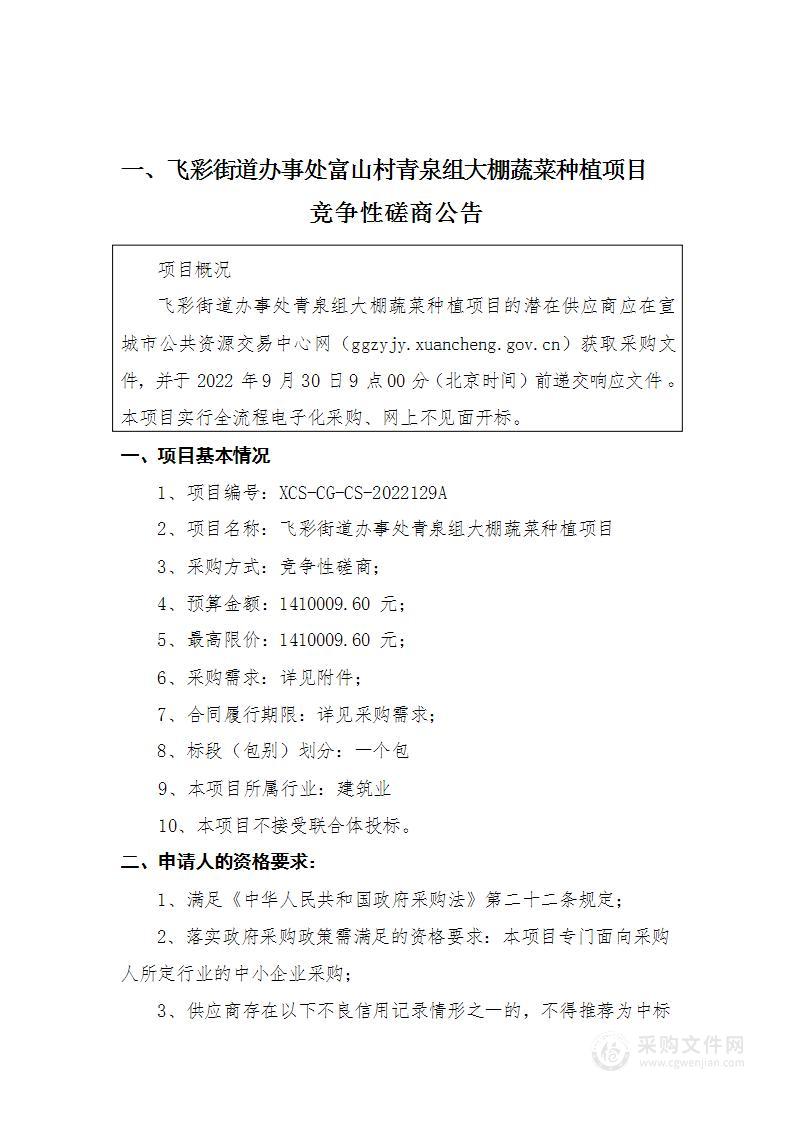 飞彩街道办事处青泉组大棚蔬菜种植项目