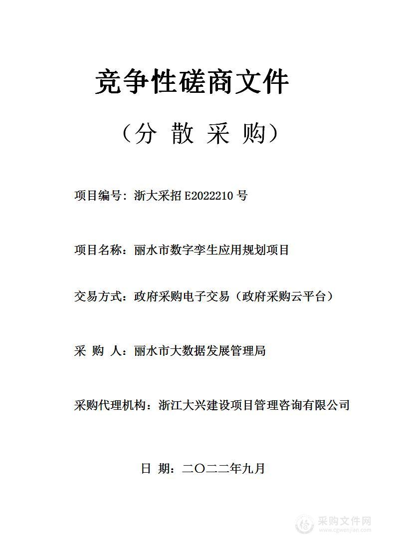 丽水市数字孪生应用规划项目