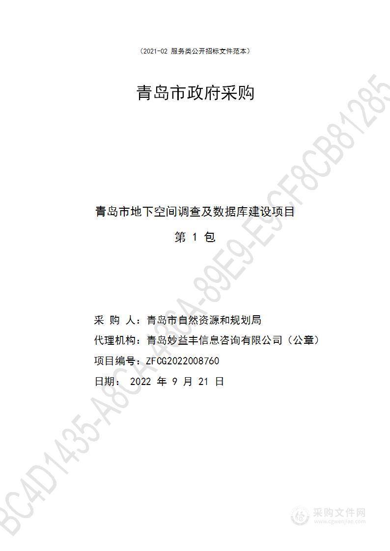 青岛市地下空间调查及数据库建设项目