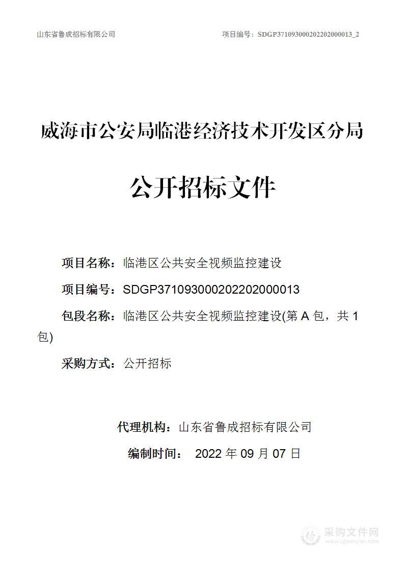 临港区公共安全视频监控建设