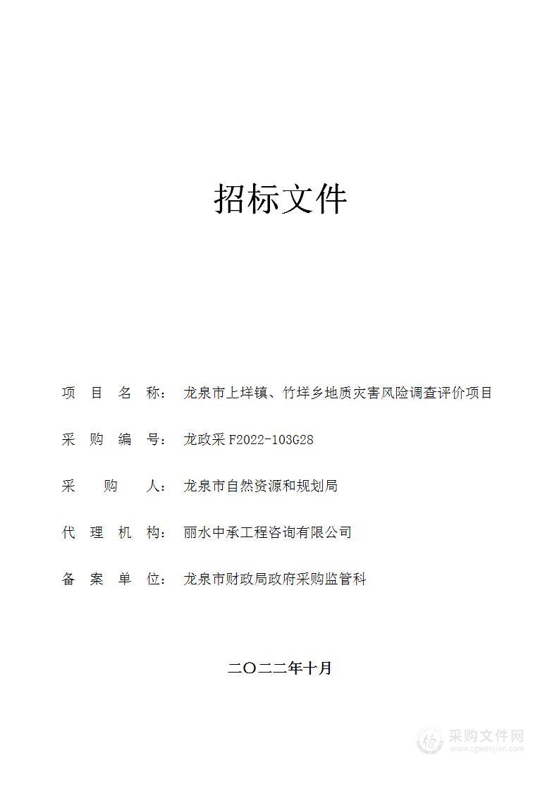 龙泉市上垟镇、竹垟乡地质灾害风险调查评价项目