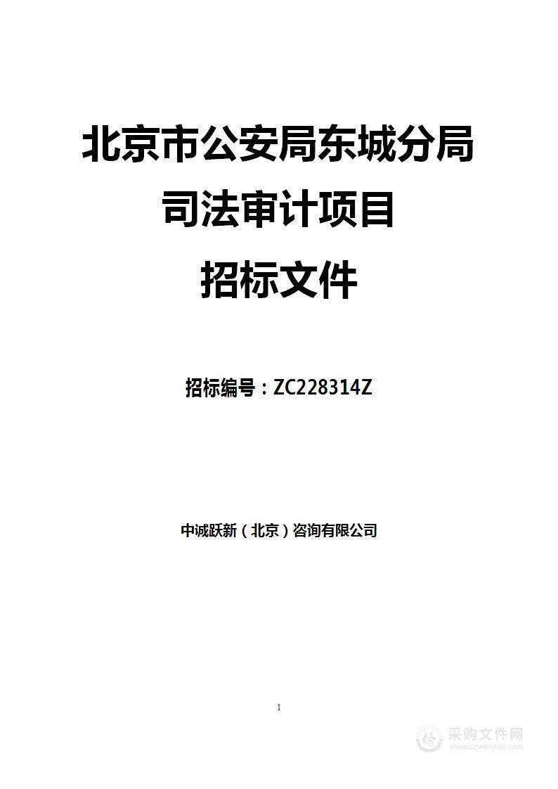 北京市公安局东城分局司法审计项目