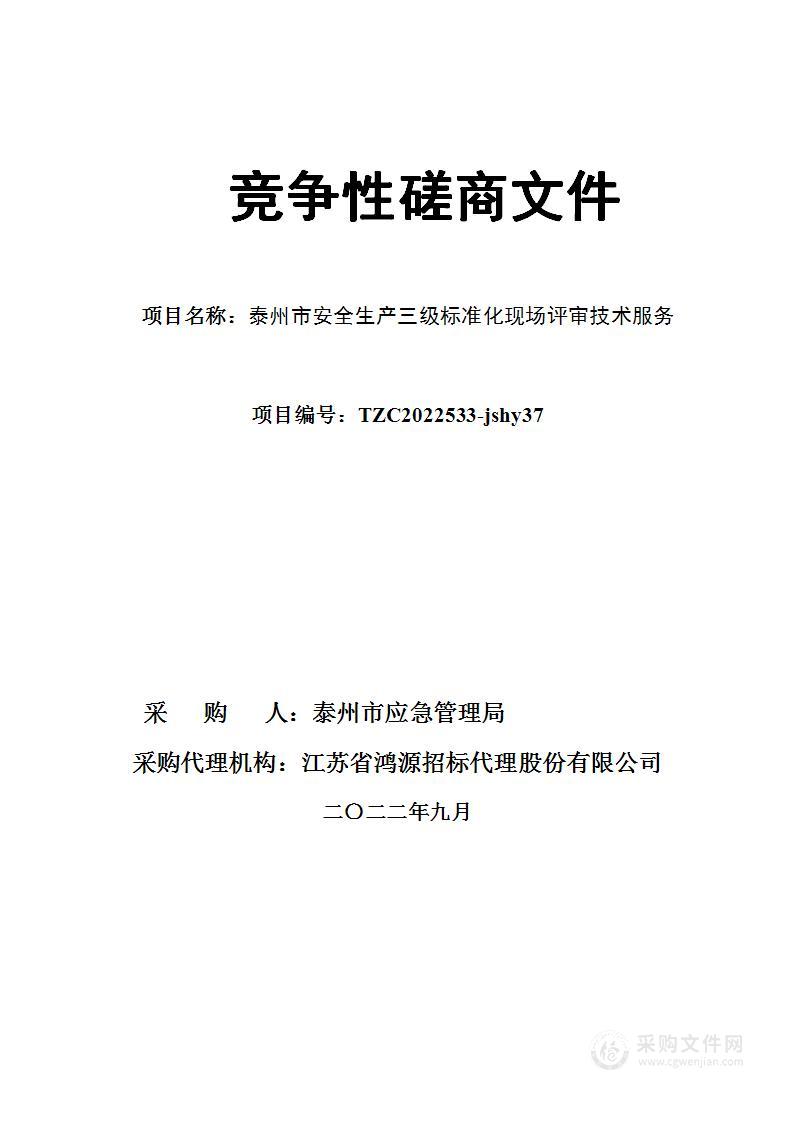 泰州市安全生产三级标准化现场评审技术服务