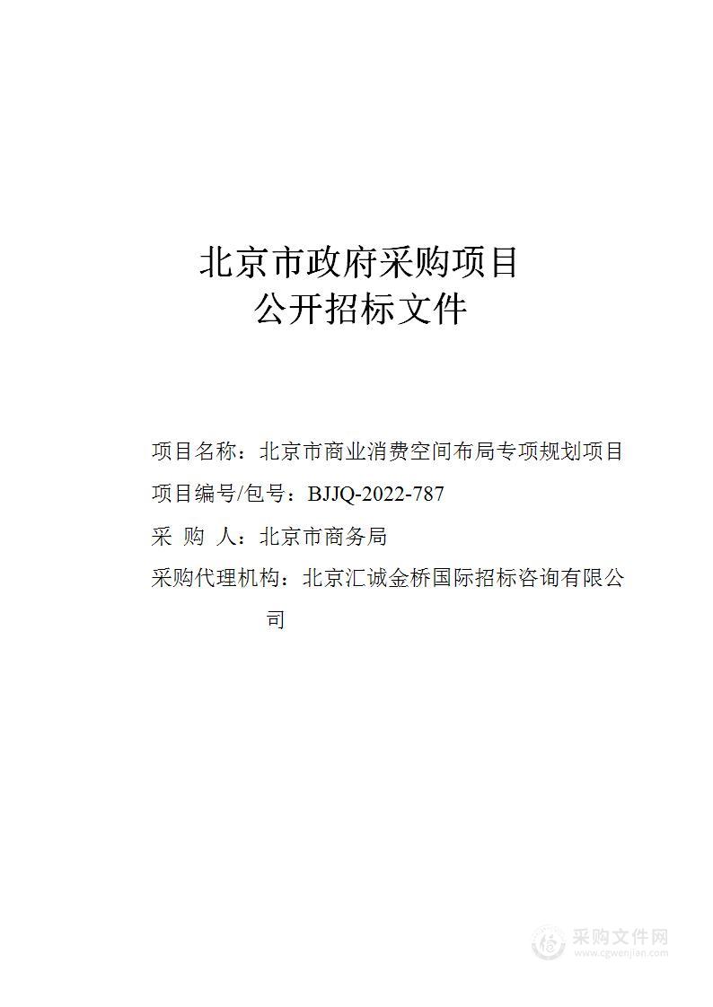 北京市商业消费空间布局专项规划项目