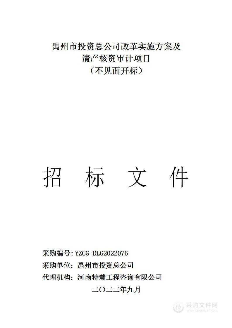 禹州市投资总公司改革实施方案及清产核资审计项目